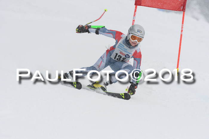 Münchner Skimeisterschaft 2018