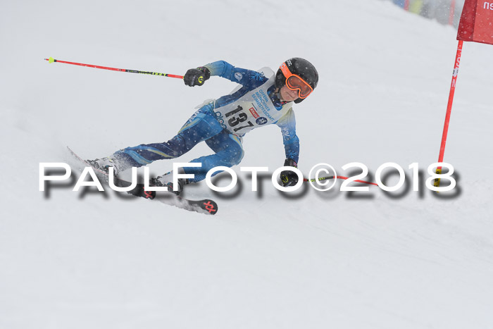 Münchner Skimeisterschaft 2018
