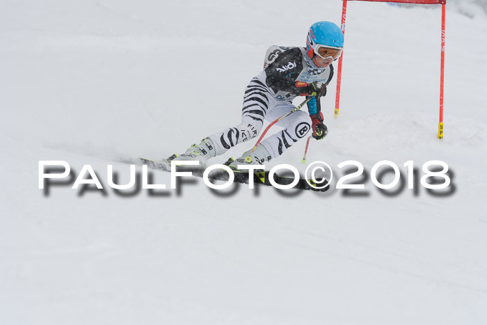 Münchner Skimeisterschaft 2018