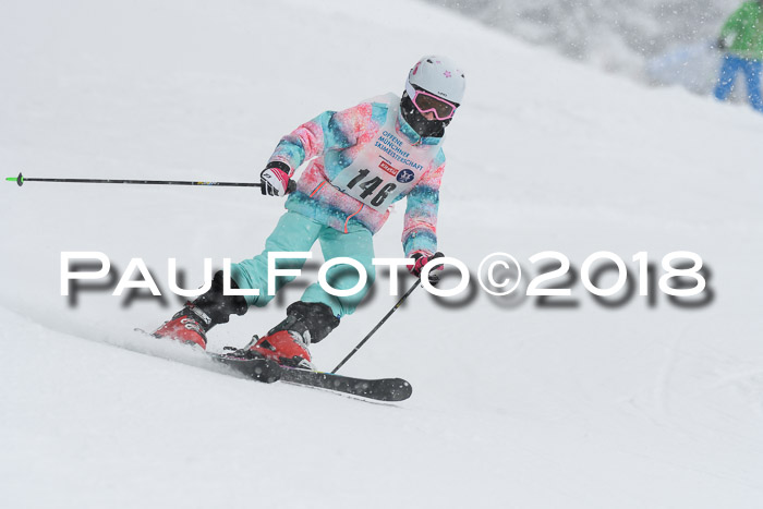 Münchner Skimeisterschaft 2018