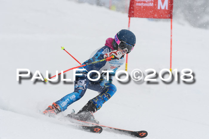 Münchner Skimeisterschaft 2018