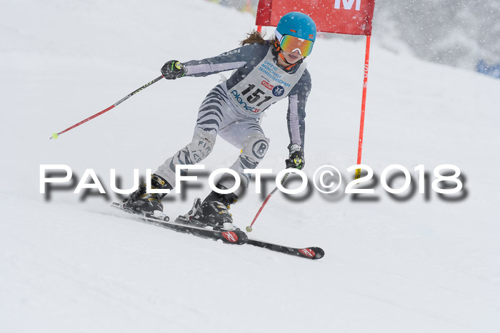 Münchner Skimeisterschaft 2018
