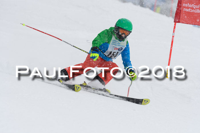 Münchner Skimeisterschaft 2018