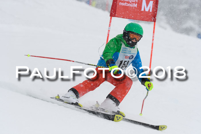 Münchner Skimeisterschaft 2018