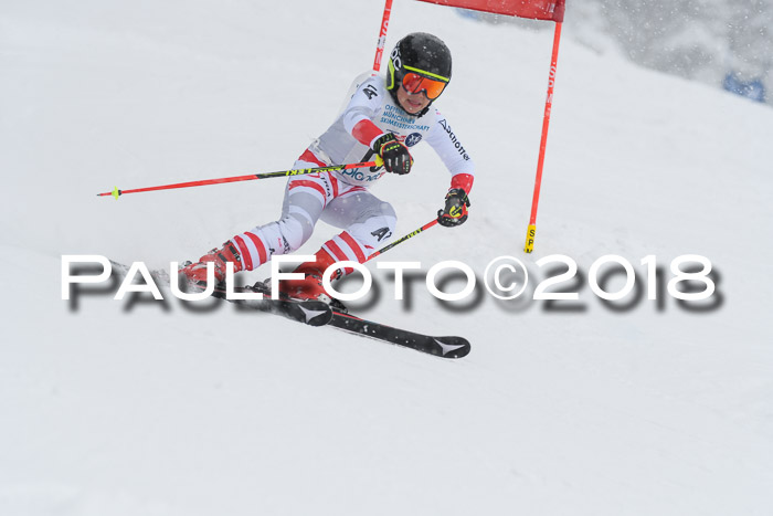 Münchner Skimeisterschaft 2018