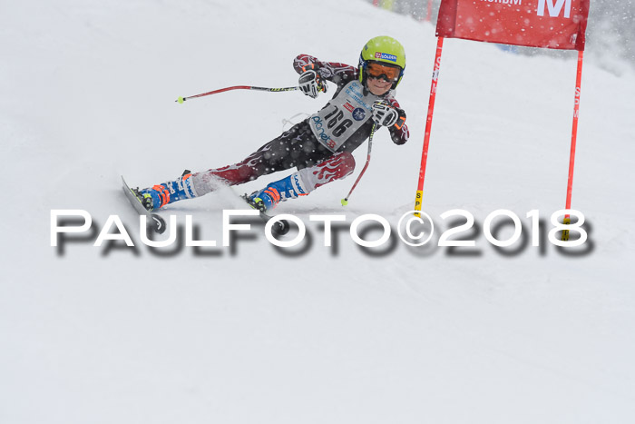 Münchner Skimeisterschaft 2018