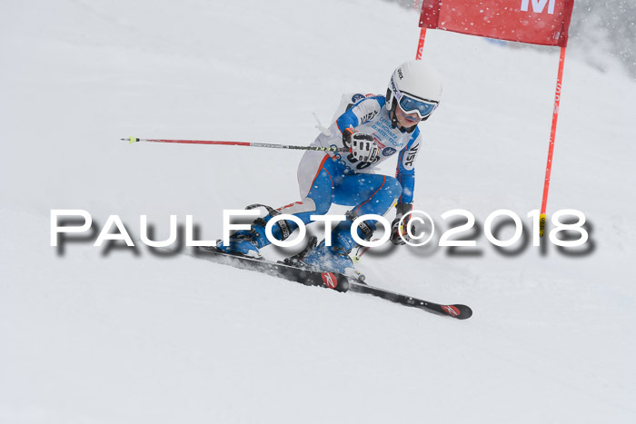 Münchner Skimeisterschaft 2018