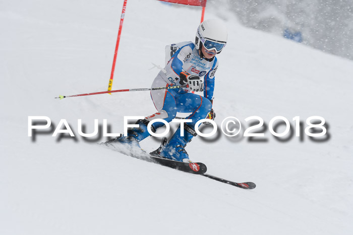 Münchner Skimeisterschaft 2018