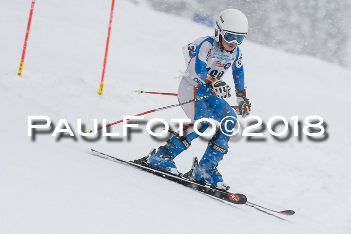 Münchner Skimeisterschaft 2018