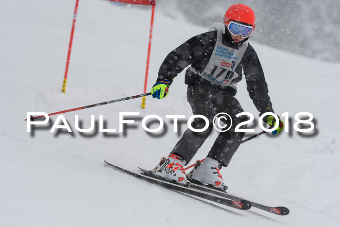 Münchner Skimeisterschaft 2018