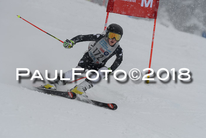 Münchner Skimeisterschaft 2018