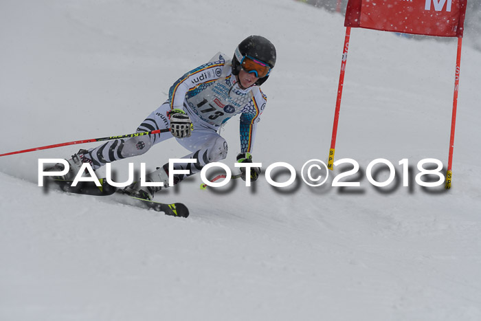 Münchner Skimeisterschaft 2018