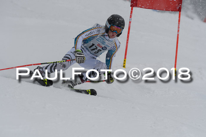 Münchner Skimeisterschaft 2018