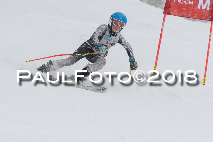 Münchner Skimeisterschaft 2018