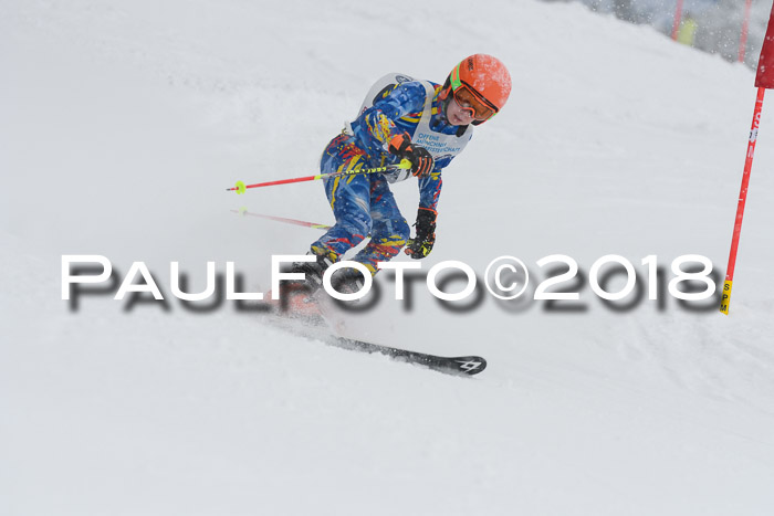Münchner Skimeisterschaft 2018