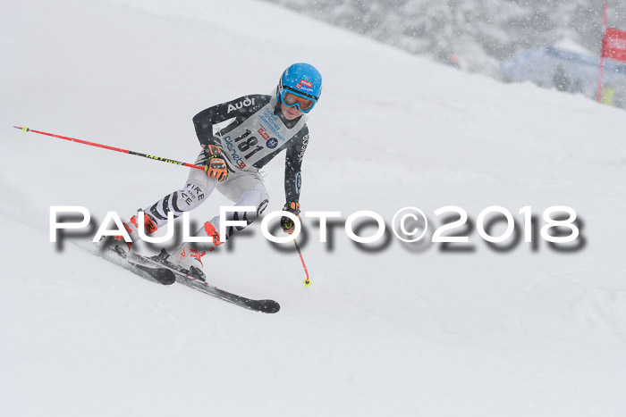 Münchner Skimeisterschaft 2018