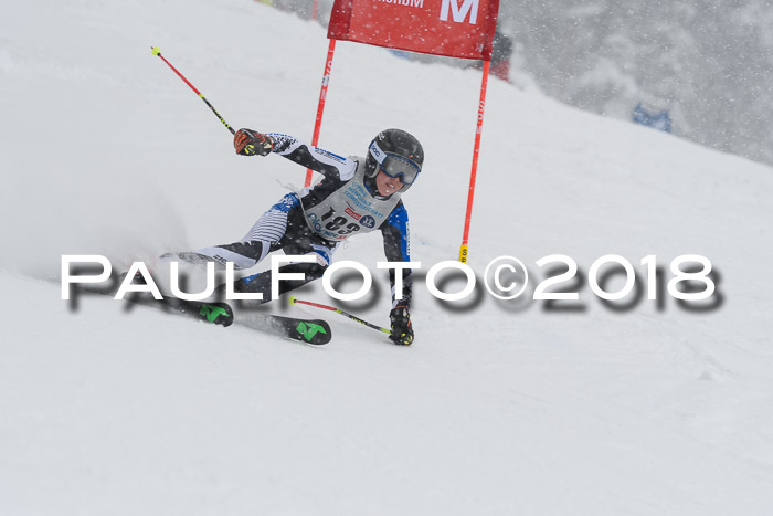 Münchner Skimeisterschaft 2018