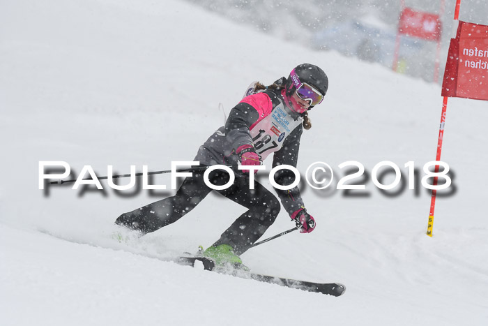 Münchner Skimeisterschaft 2018