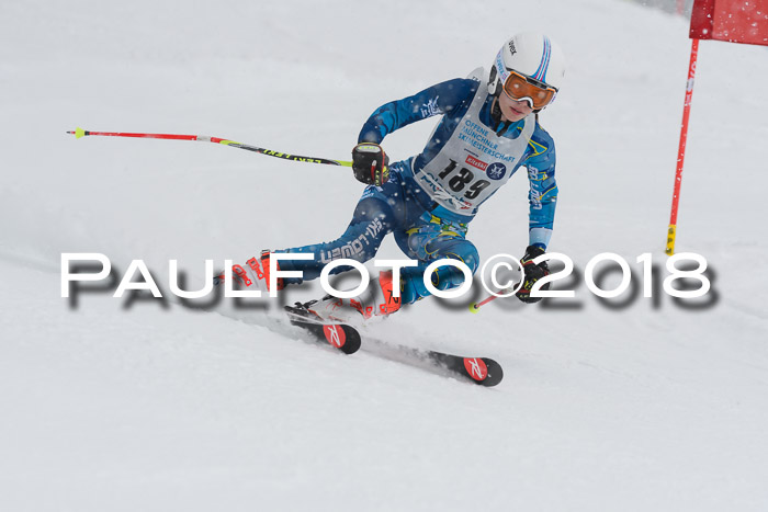 Münchner Skimeisterschaft 2018