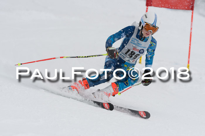 Münchner Skimeisterschaft 2018