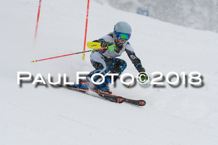 Münchner Skimeisterschaft 2018