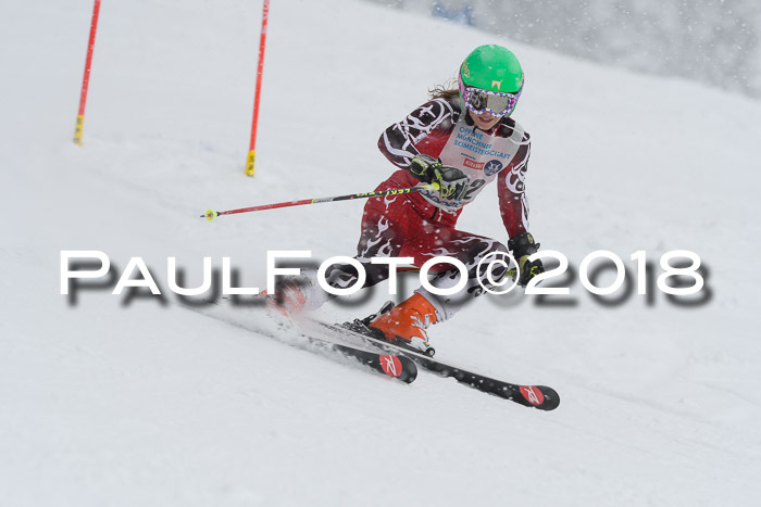 Münchner Skimeisterschaft 2018