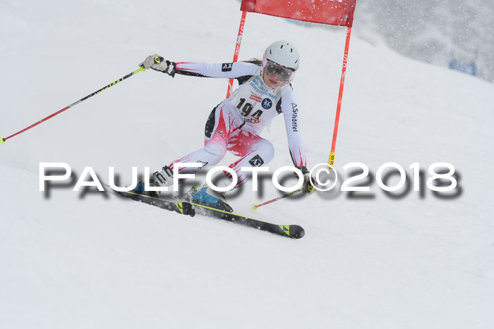 Münchner Skimeisterschaft 2018