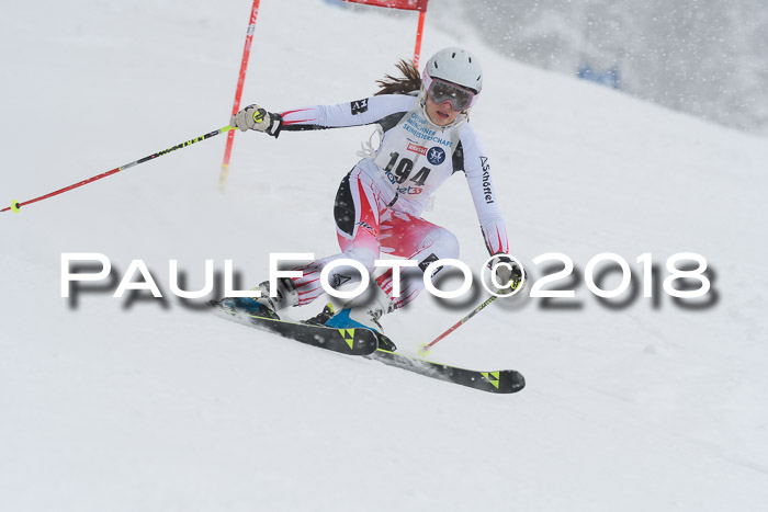 Münchner Skimeisterschaft 2018