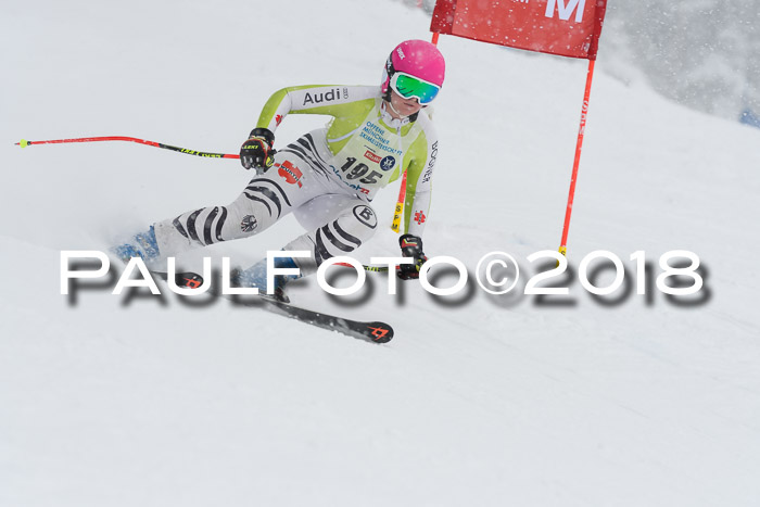 Münchner Skimeisterschaft 2018