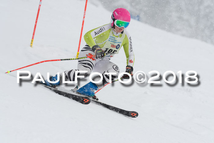 Münchner Skimeisterschaft 2018