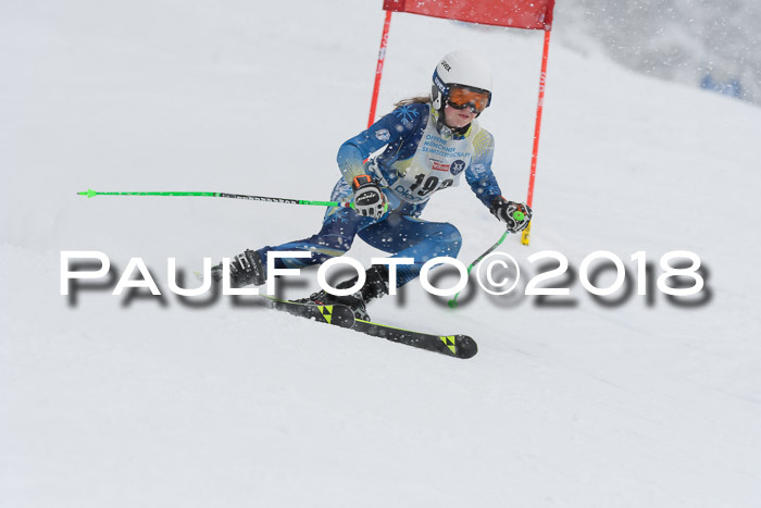 Münchner Skimeisterschaft 2018