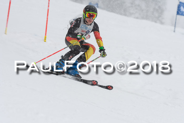 Münchner Skimeisterschaft 2018