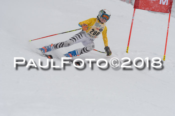 Münchner Skimeisterschaft 2018