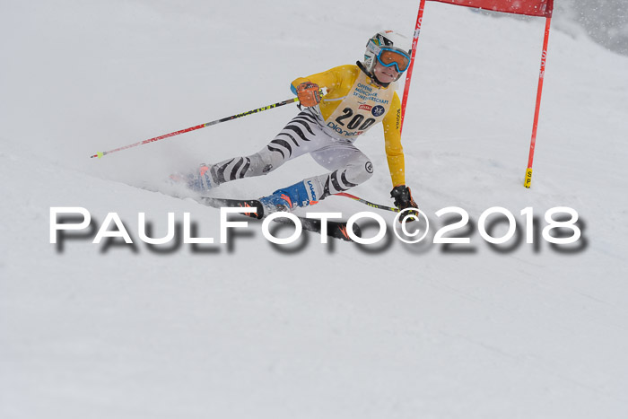 Münchner Skimeisterschaft 2018