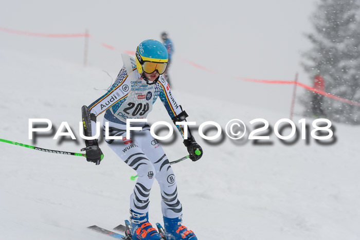 Münchner Skimeisterschaft 2018