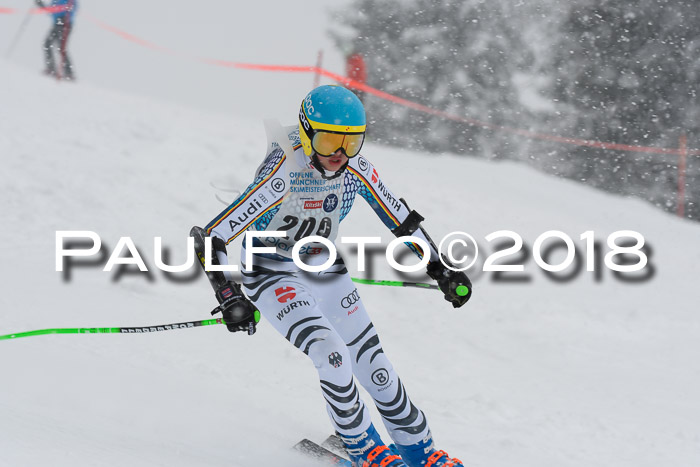 Münchner Skimeisterschaft 2018