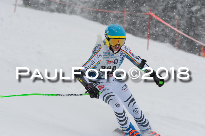Münchner Skimeisterschaft 2018