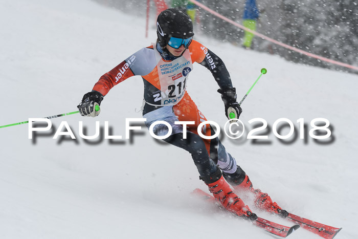 Münchner Skimeisterschaft 2018