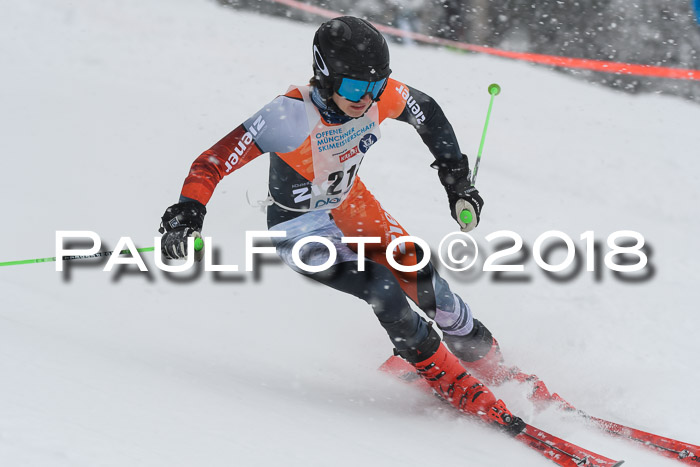 Münchner Skimeisterschaft 2018