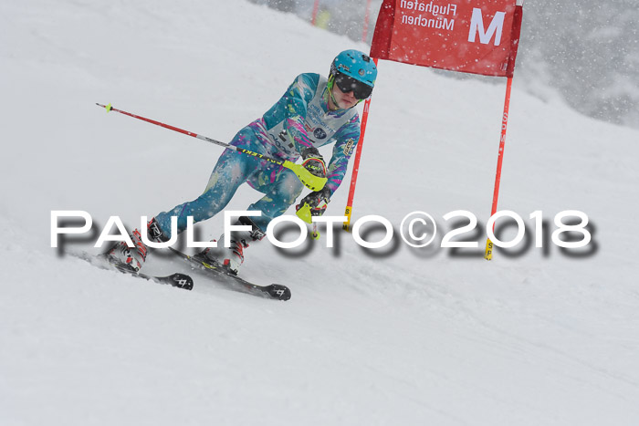 Münchner Skimeisterschaft 2018