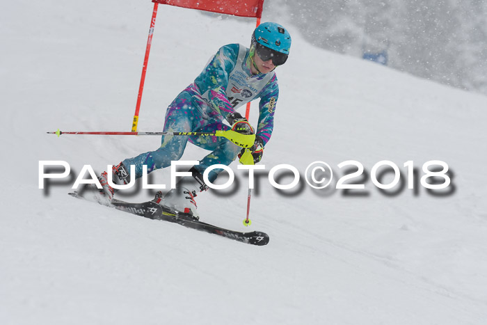 Münchner Skimeisterschaft 2018