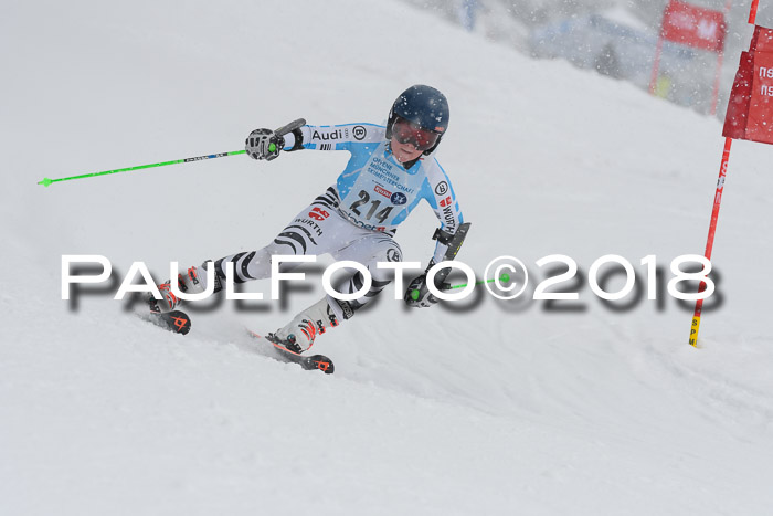 Münchner Skimeisterschaft 2018