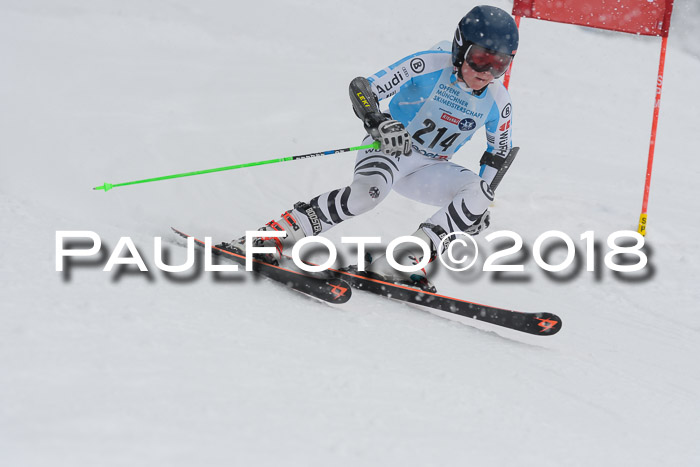 Münchner Skimeisterschaft 2018