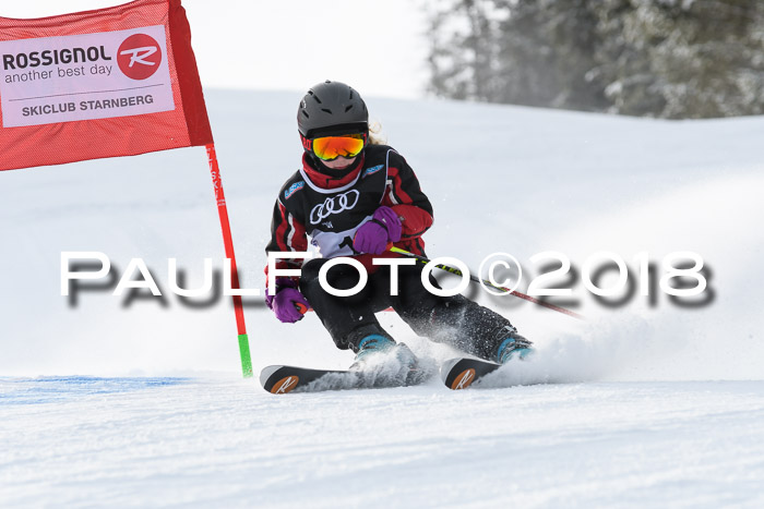 Starnberger Skikreismeisterschaft 2018