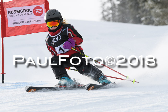 Starnberger Skikreismeisterschaft 2018