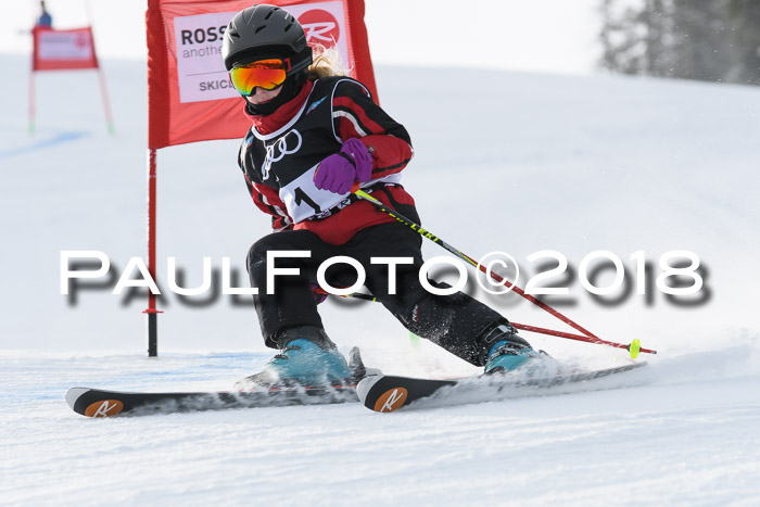 Starnberger Skikreismeisterschaft 2018