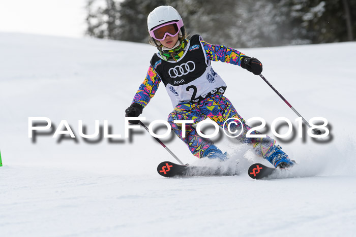 Starnberger Skikreismeisterschaft 2018