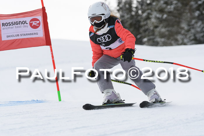 Starnberger Skikreismeisterschaft 2018