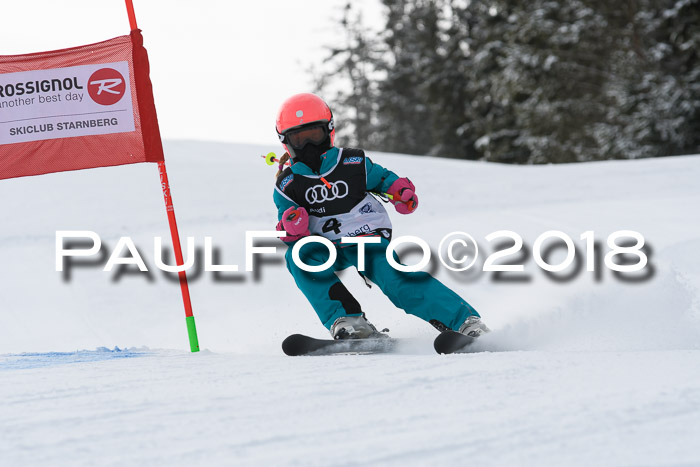 Starnberger Skikreismeisterschaft 2018