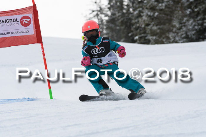 Starnberger Skikreismeisterschaft 2018